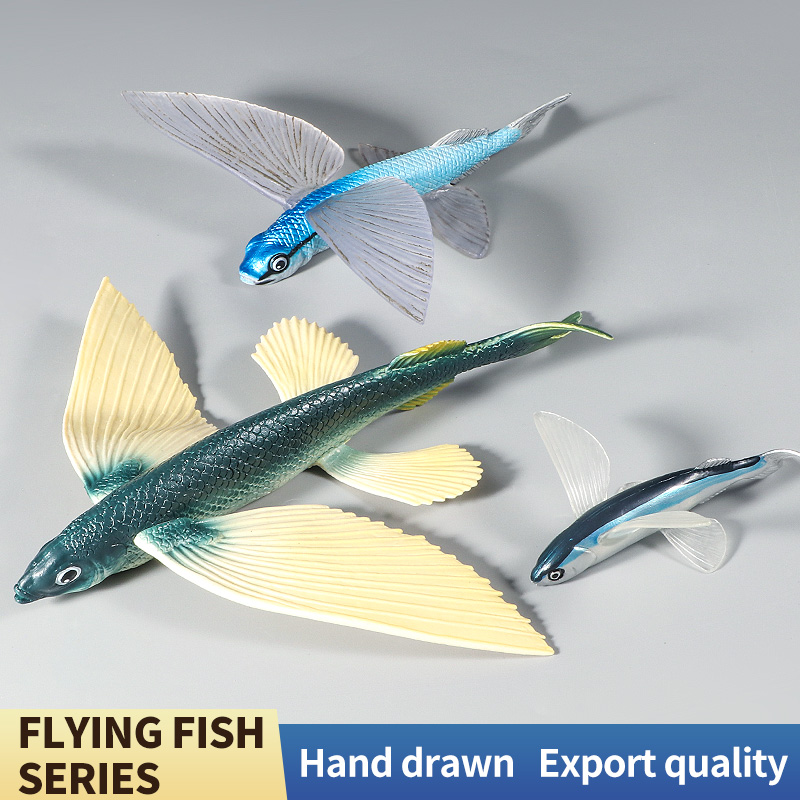 Kids Education World - Ocean Marine Animal Underwater World Flying