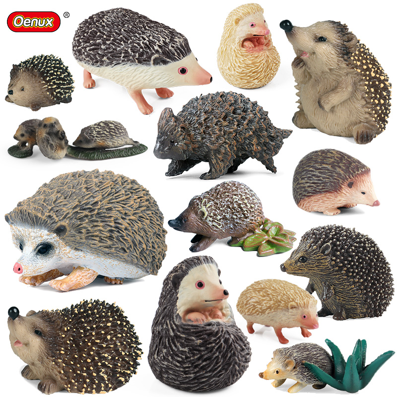 Oenux Simulation Wild Jungle F - Kids Without Education recension och pris