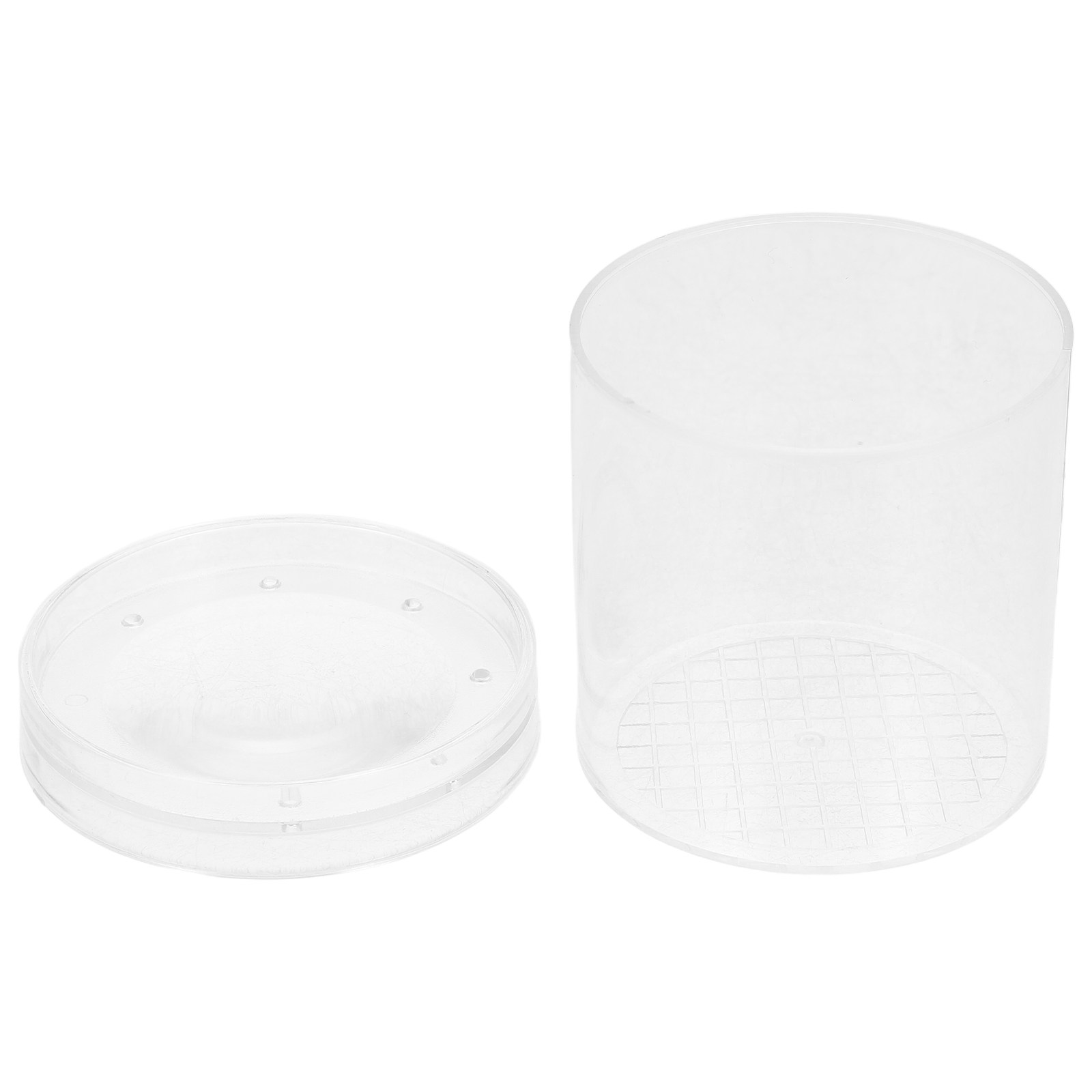 3X Magnifying Insect Observati - Kids Education Tools recension och pris
