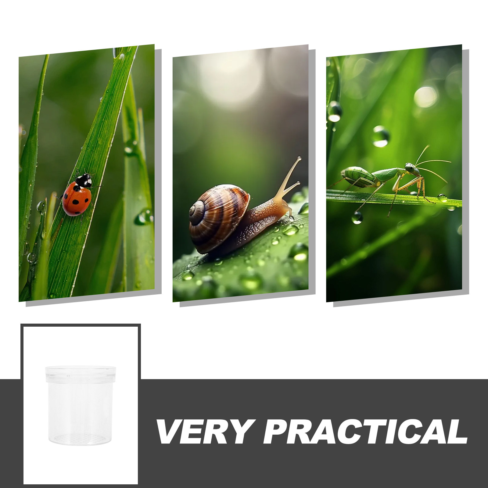 3X Magnifying Insect Observati - Kids Education Tools recension och pris