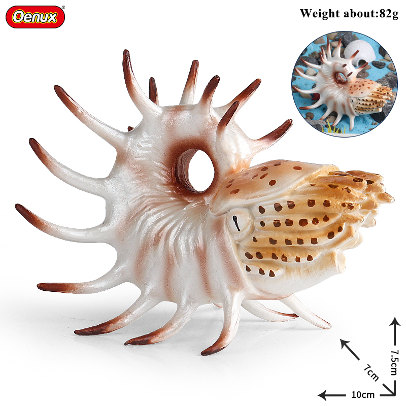 Oenux Sea Life Animals Coral O - Kids Without Education recension och pris