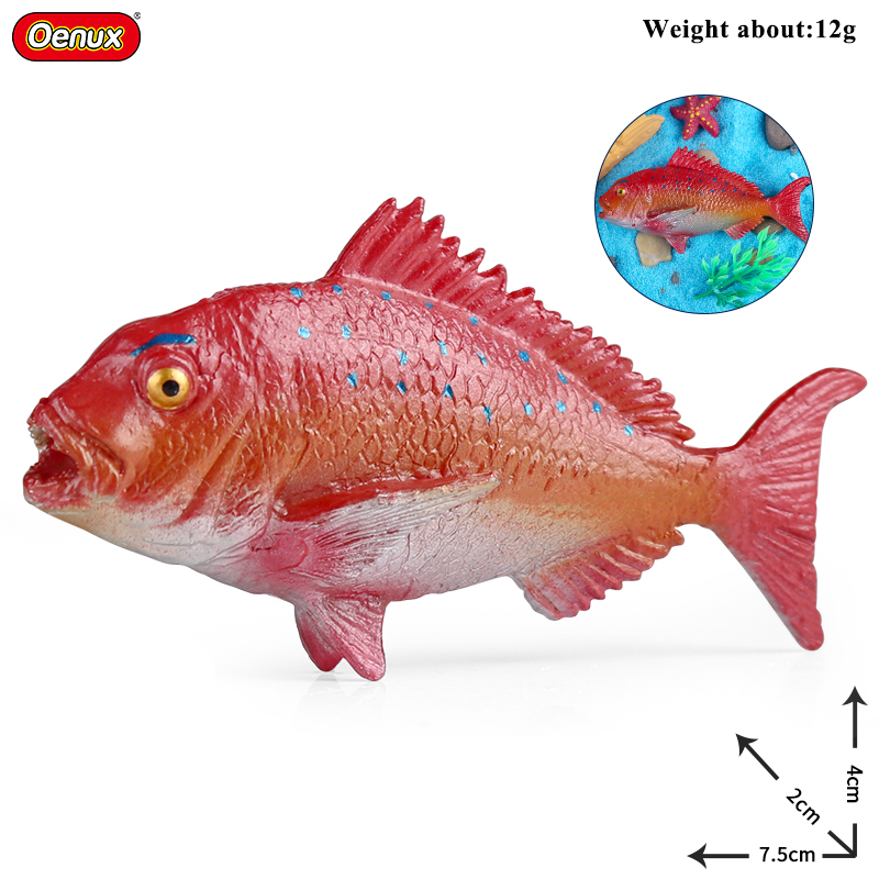 Oenux Sea Life Animals Coral O - Kids Without Education recension och pris