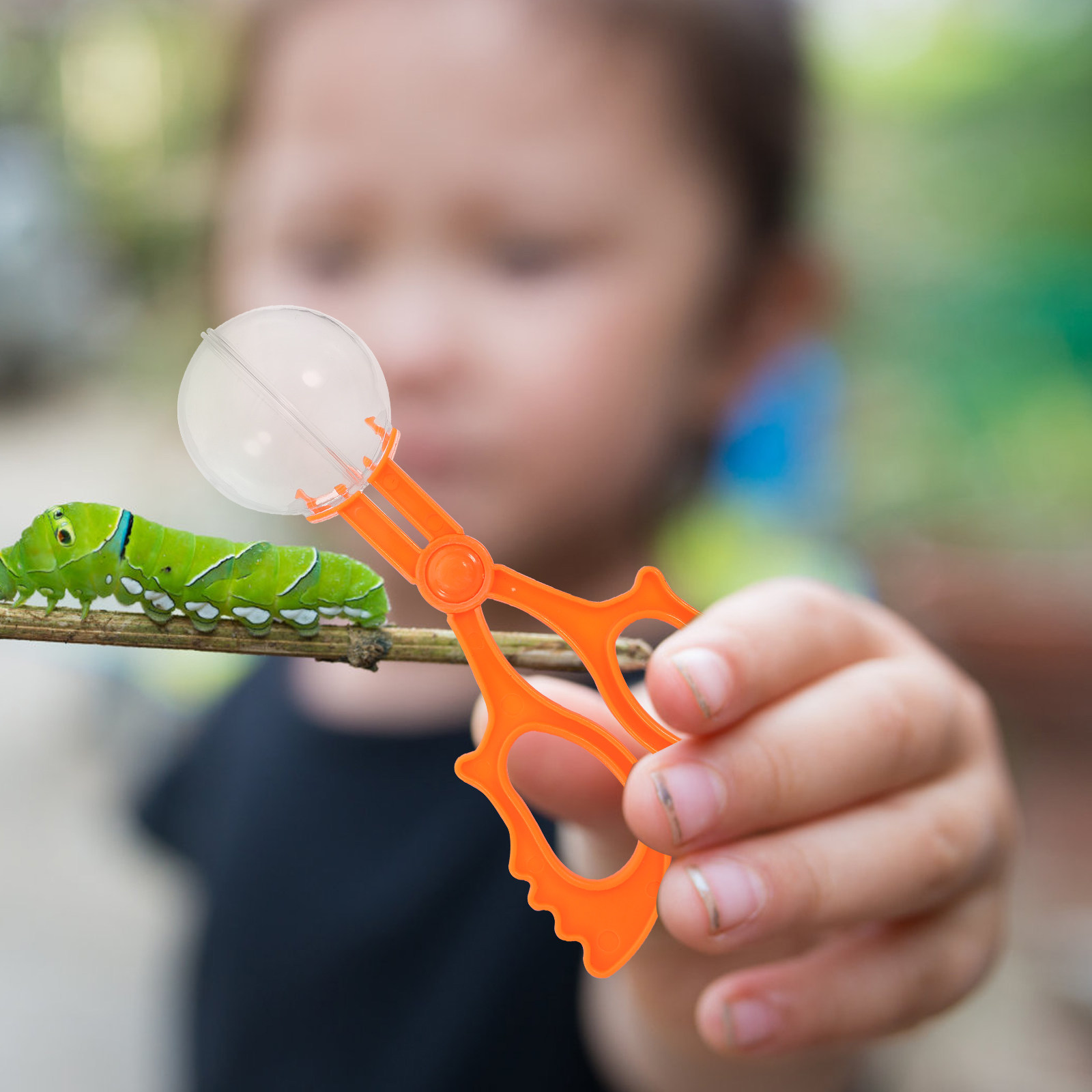 5Pcs Assorted Color Insect Cat - Kids Education Tools recension och pris