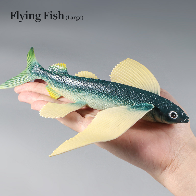 Ocean Marine Animal Underwater - Kids Education World recension och pris