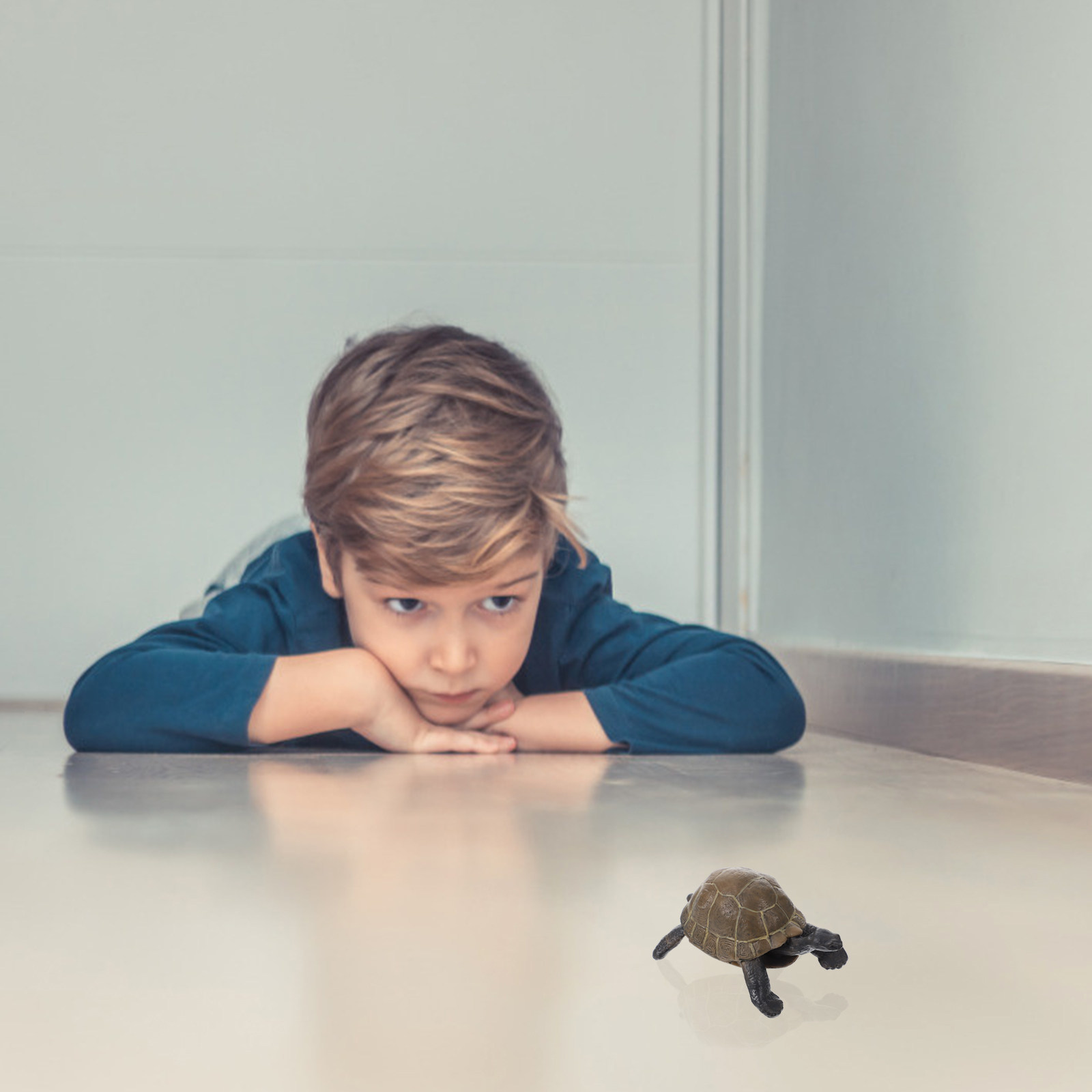 1Set Realistic Tortoise Develo - Kids Education World recension och pris
