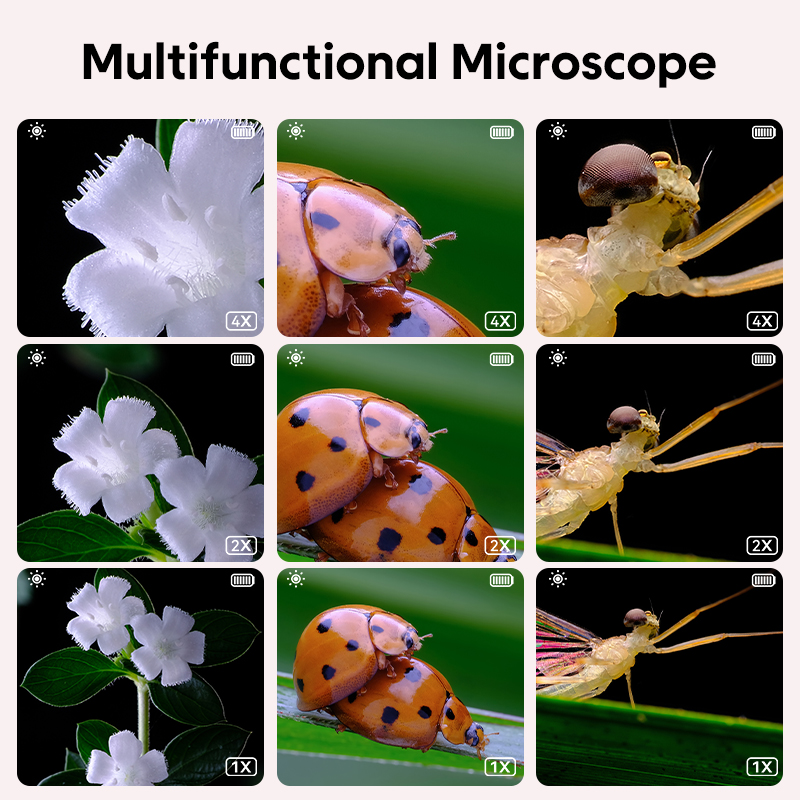 Mini Kids Optical Microscope W - Kids Educational Videos recension och pris