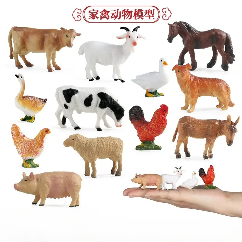Education Teaching Tool Poultr - Kids Education Tools recension och pris