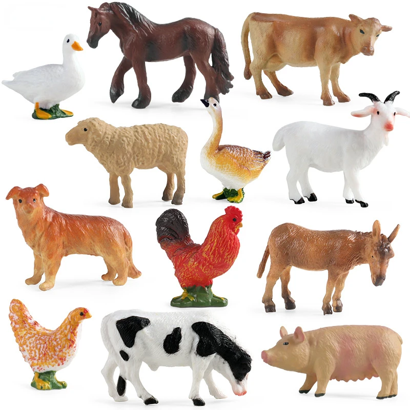 Education Teaching Tool Poultr - Kids Education Tools recension och pris