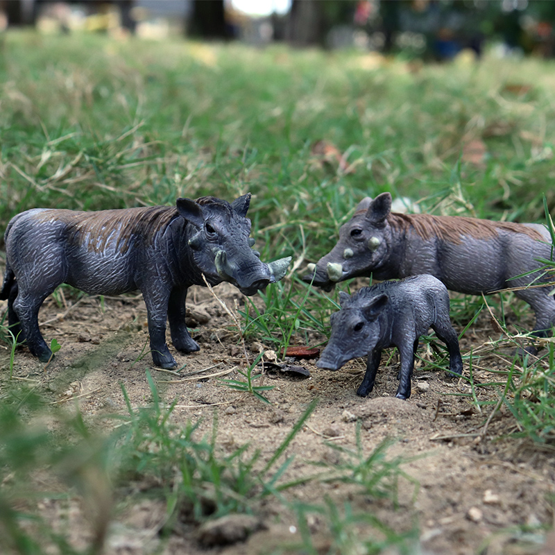 Oenux Wild Boar Tapirus Indicu - Kids Without Education recension och pris