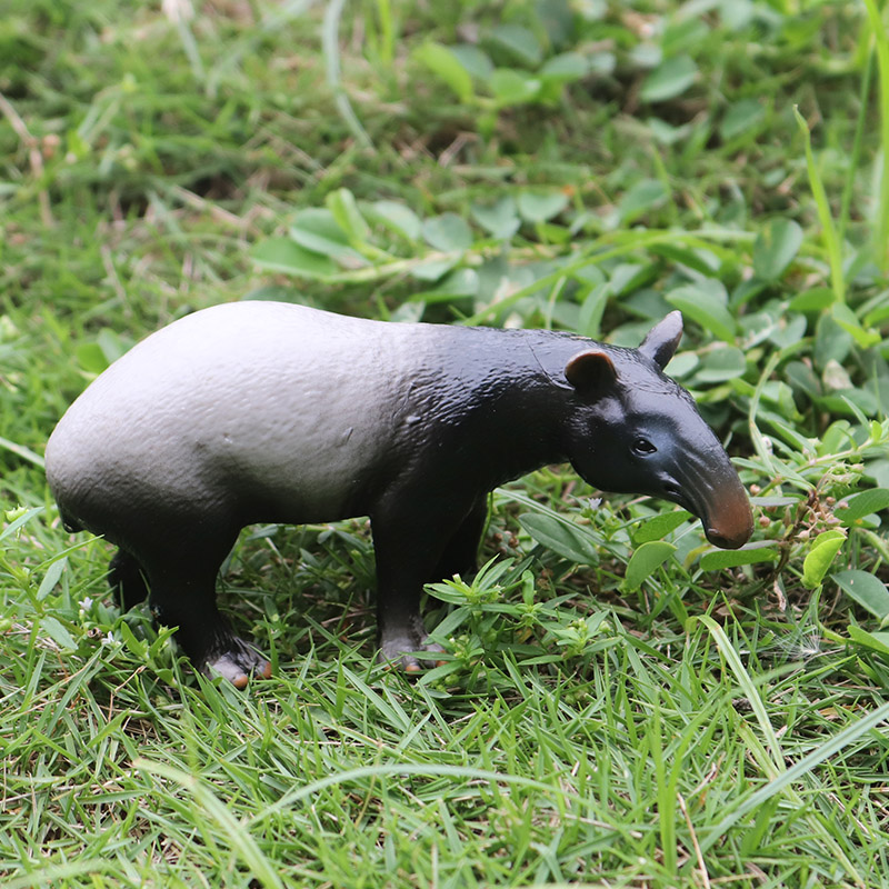 Oenux Wild Boar Tapirus Indicu - Kids Without Education recension och pris